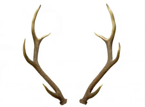 Antlers