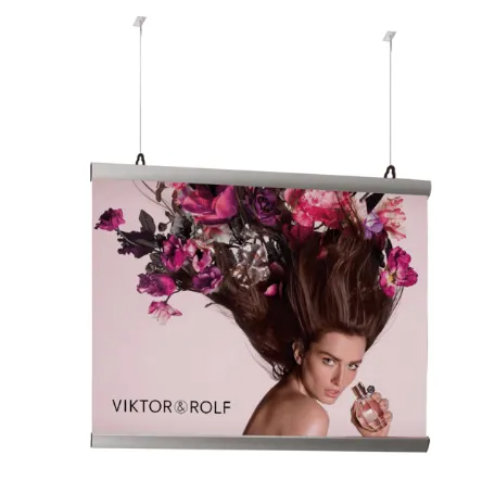 Poster Hanging Bars (A2)