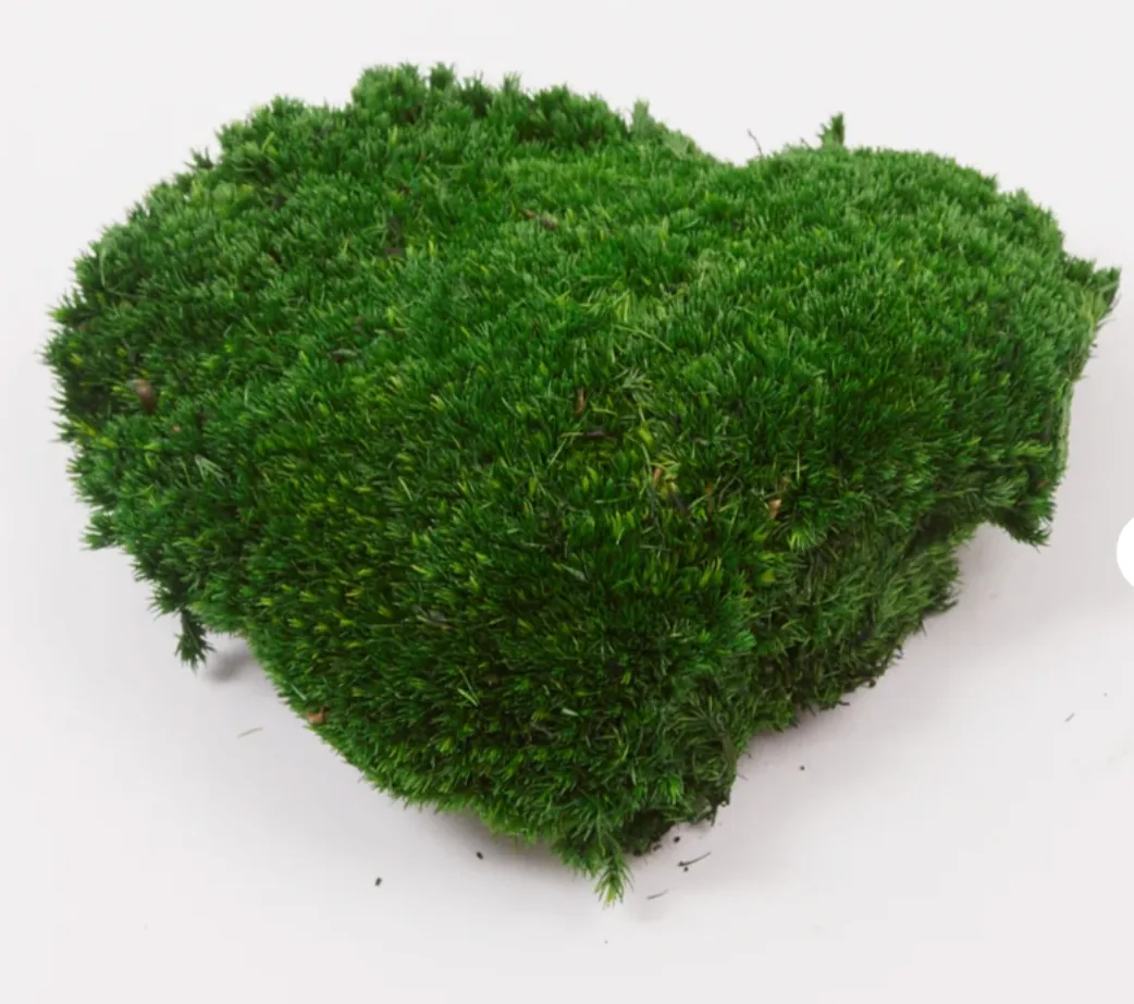 Dark Green Moss Ball