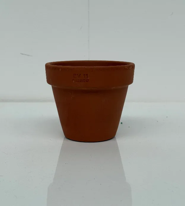 Classic Terracotta pot