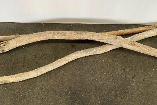 Driftwood