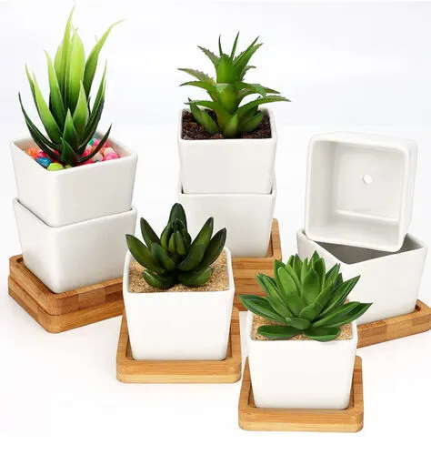 Small White Square Ceramic Plant Pot (6x10cm)