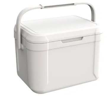 Small Cooler Box