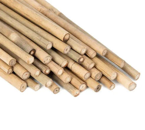 Bamboo Sticks