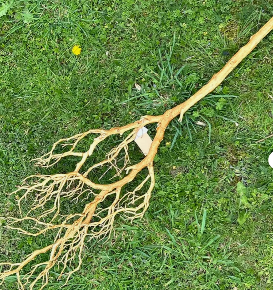 Artificial Deadwood Branch 