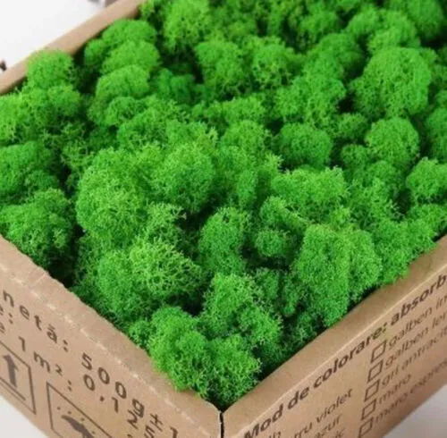 Moss Box