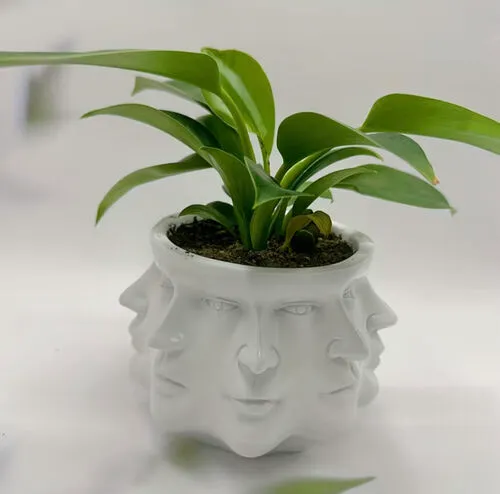 Many Faces Plant Pot