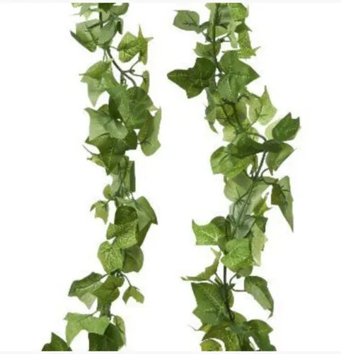 Box of Ivy Garlands