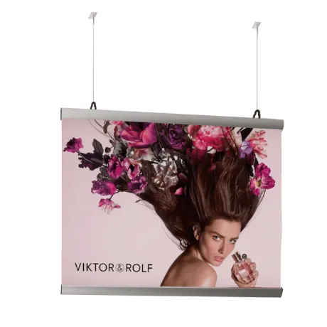 Poster Hanging Bars (A0)