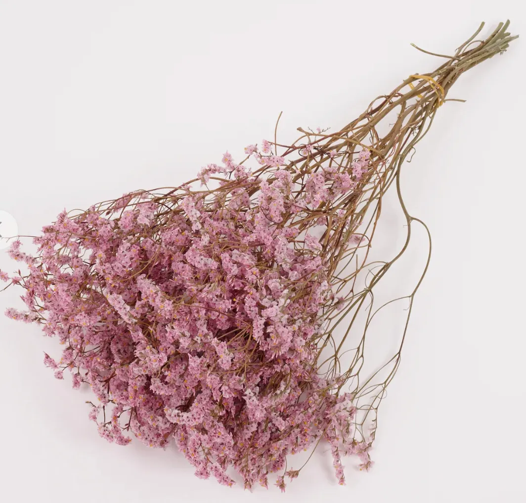Limonium, Dried, Natural Light Pink