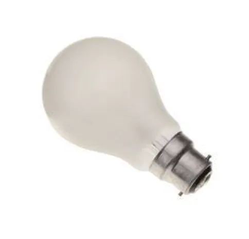 Frosted 40 watt lightbulb