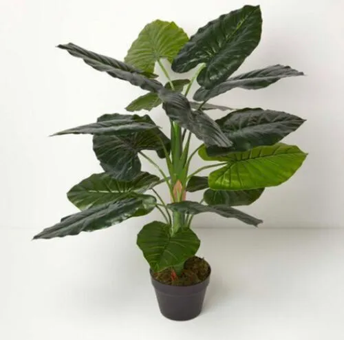 Artificial Taro Plant in Pot