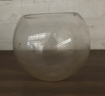 Goldfish Bowl