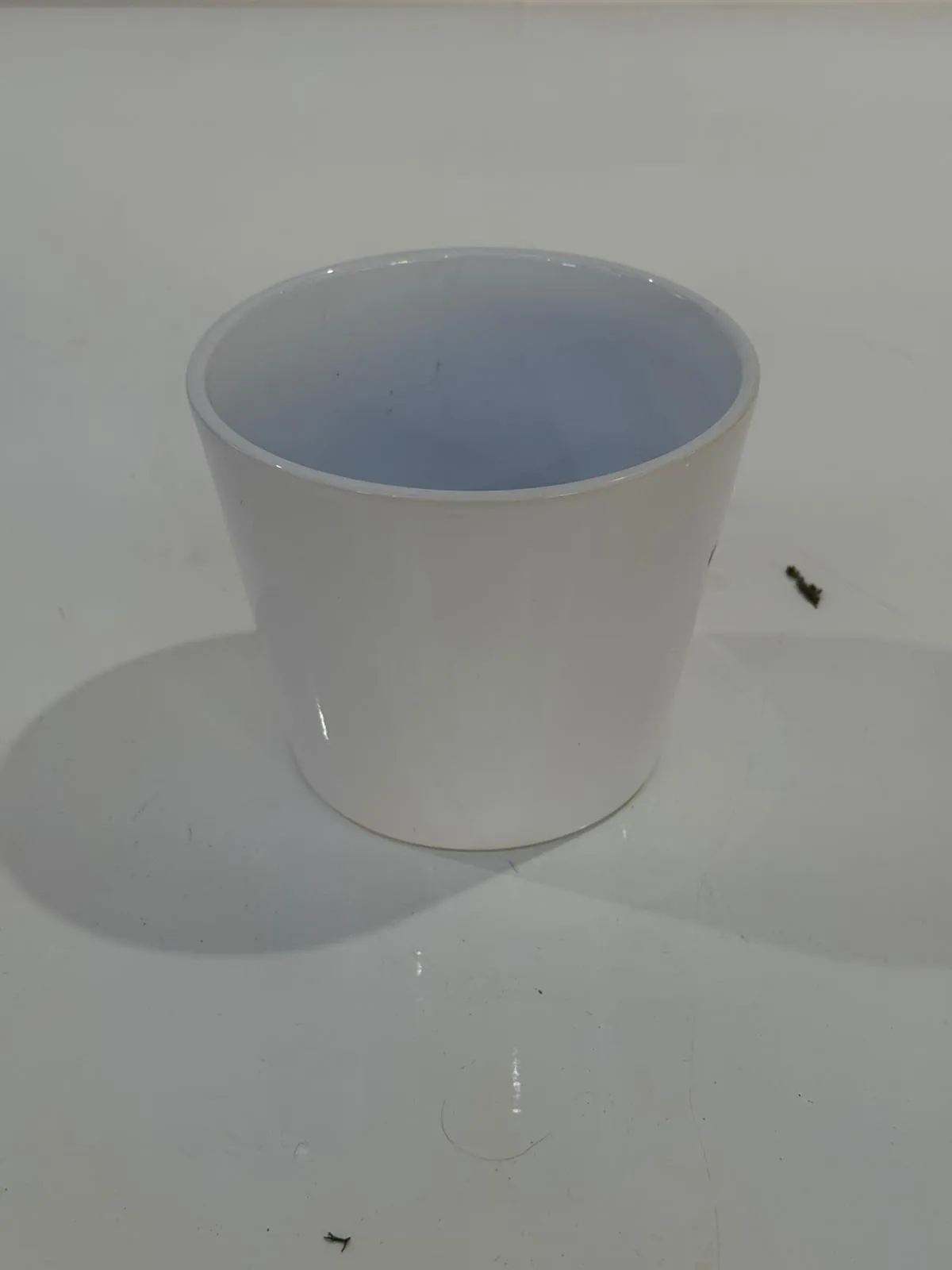 White Ceramic Plant Pot (10cm)