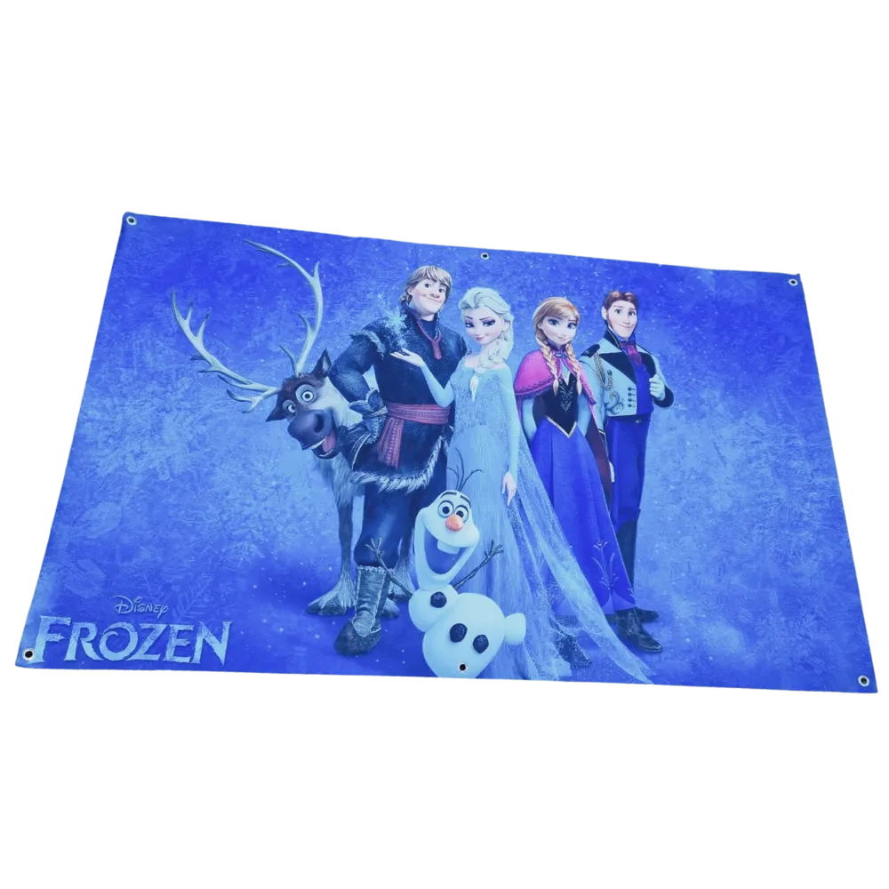 S426 Frozen Banner