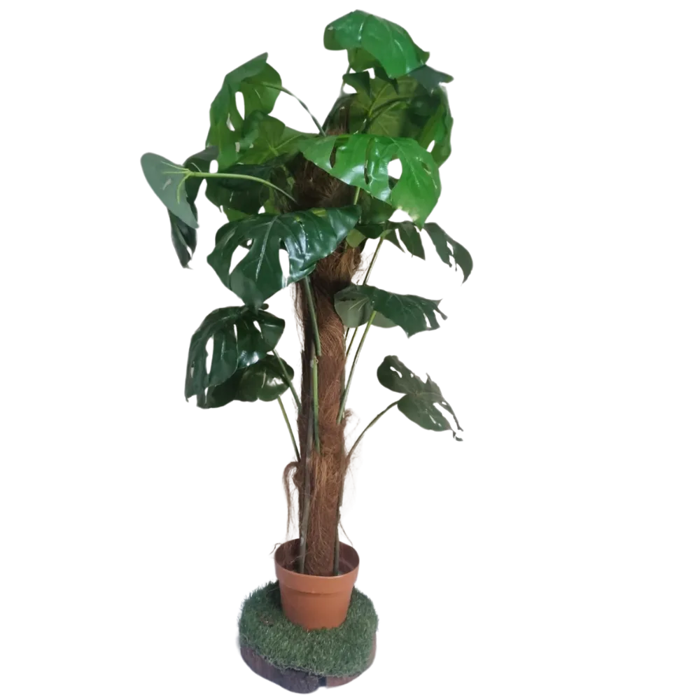 S99 Delicius Monster