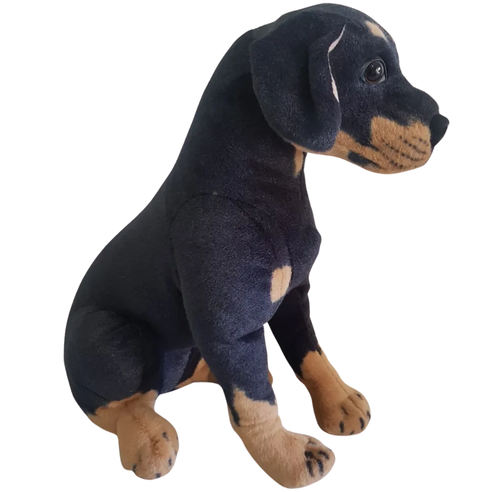 S1741 Rottweiler - FOR SALE 