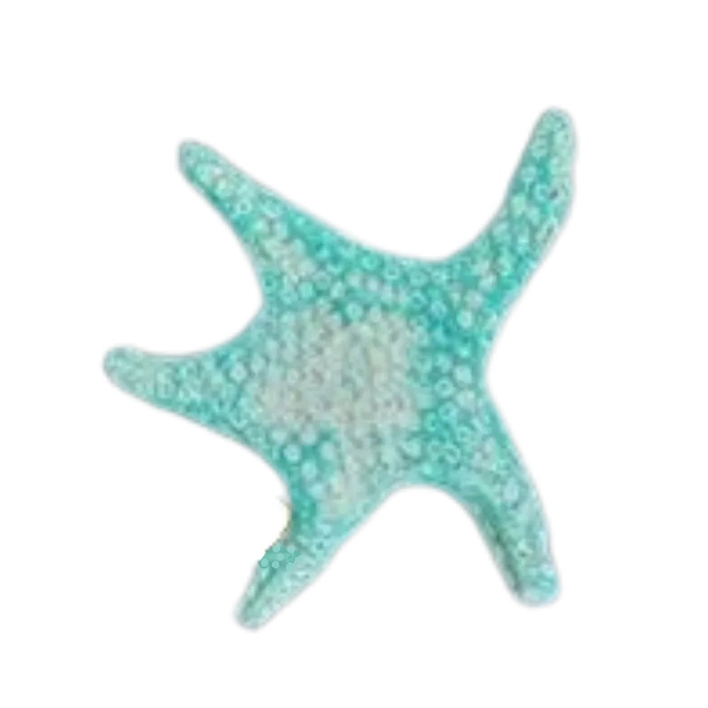 S262 Starfish