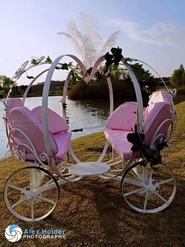 S357 Pumpkin Carriage up to 8 years