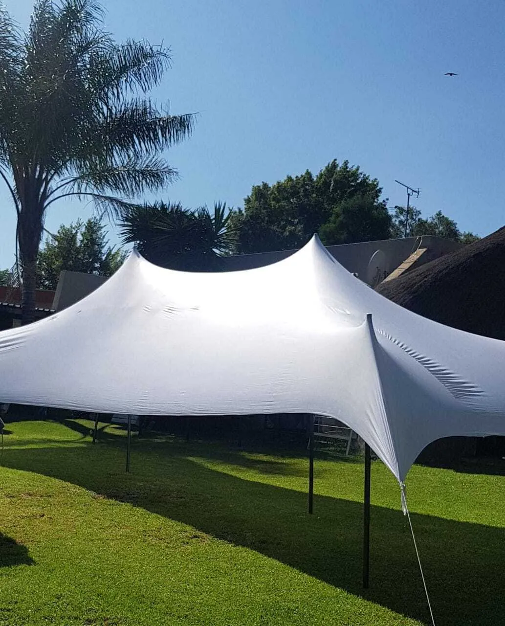 JCP08 - White Water Resistant Stretch Tent 5m x 10m