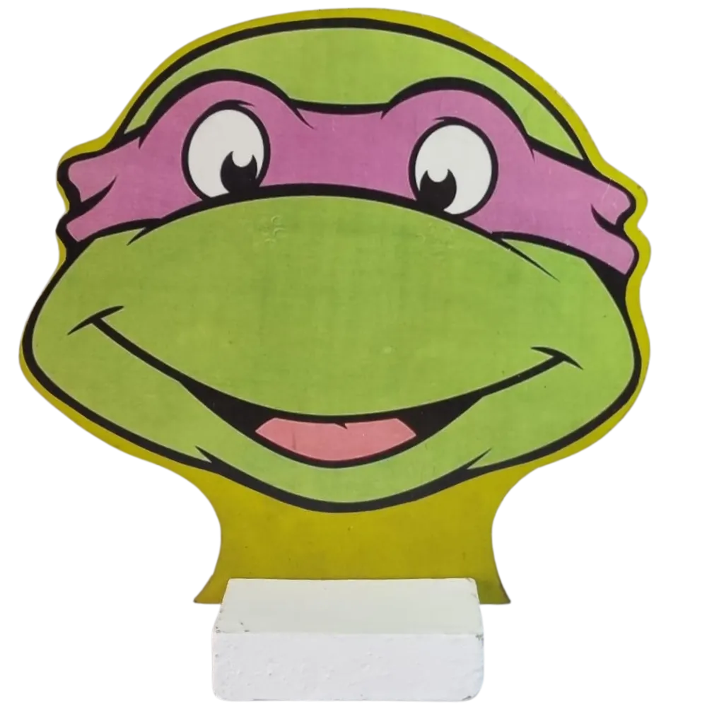 S528 Ninja Turtle