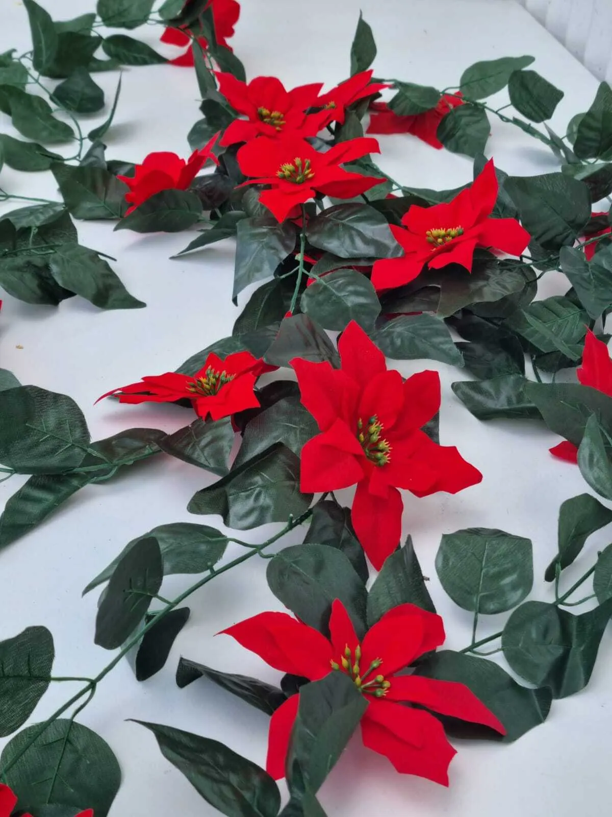 LS21 Poinsettias Strings