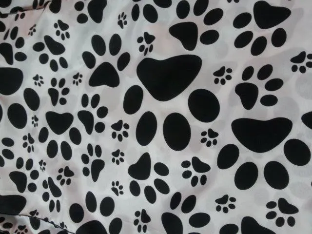 S781 Paw Patrol Runner