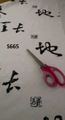 S665 Kung Fu Overlay