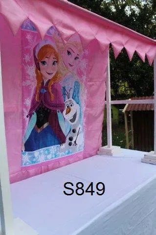 S849 Kiosk - Frame and Frozen Canopy ONLY