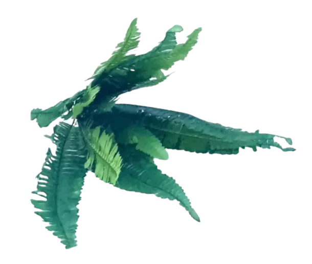 S1790 Artificial Ferns
