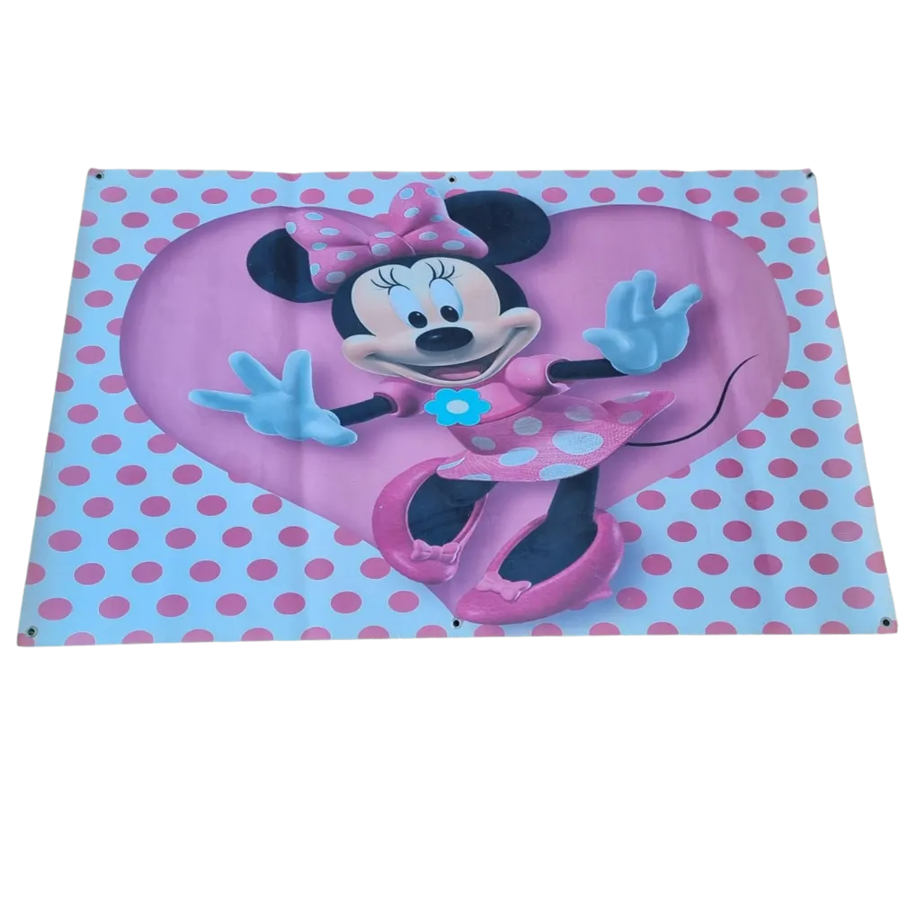 S476 Minnie Banner 