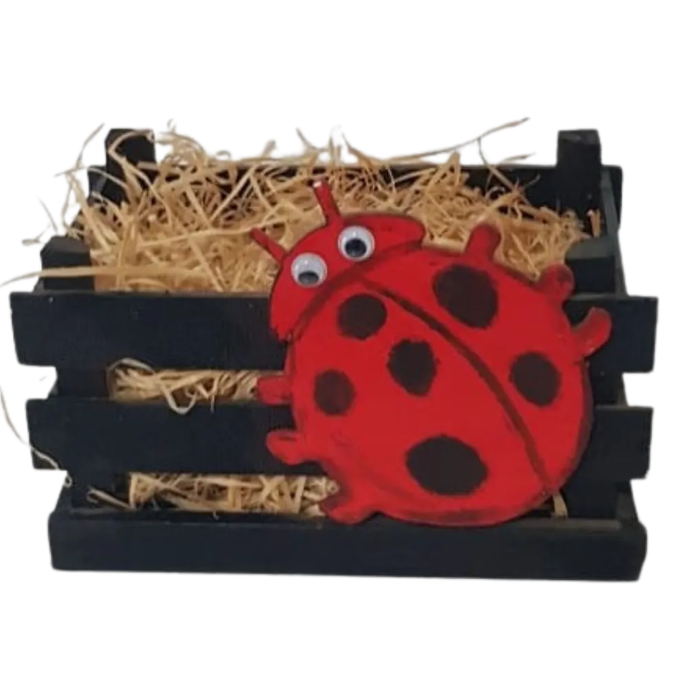 S37 Lady Bird holder for Party Packs