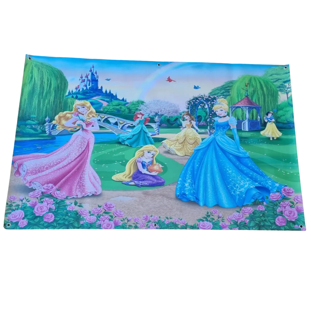 S434 Princess Banner