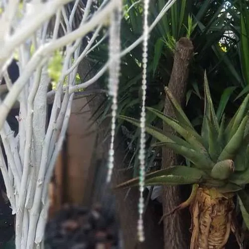 S1541 Beads for Trees