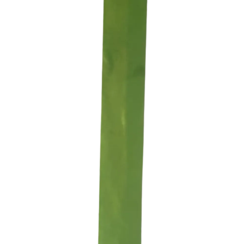 S474 Balloon Pillars Socks - Green