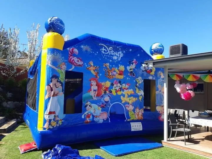 Disney 6mx6m