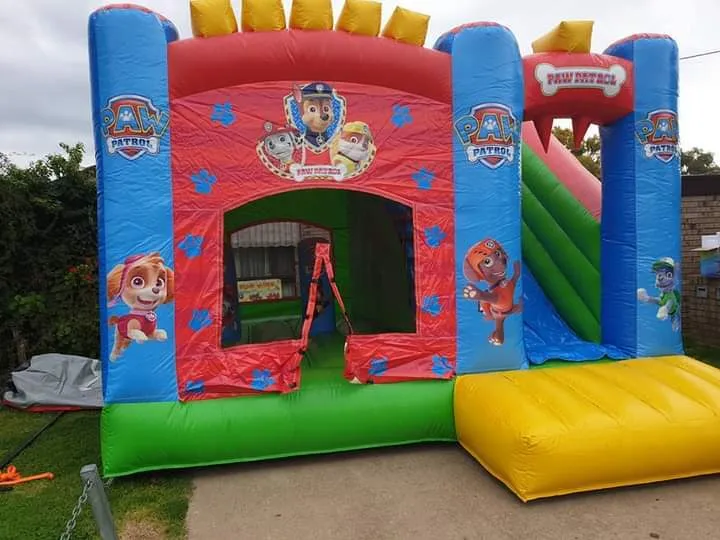 Paw patrol 5mx5m