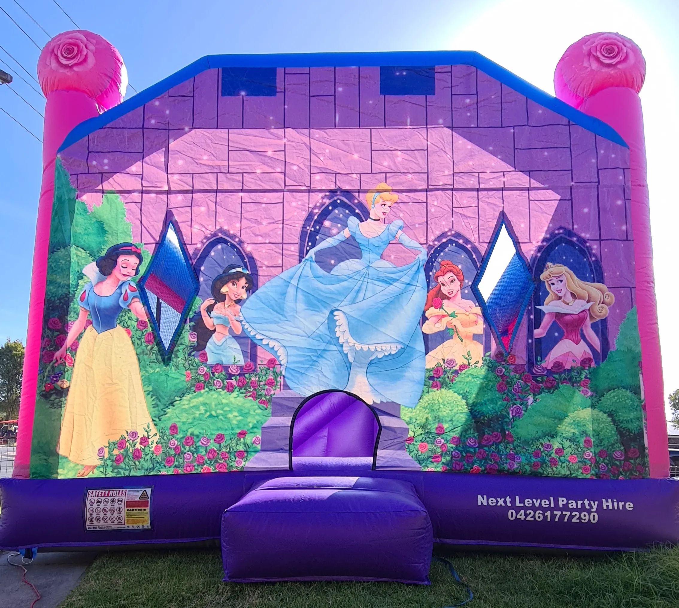 Disney princess