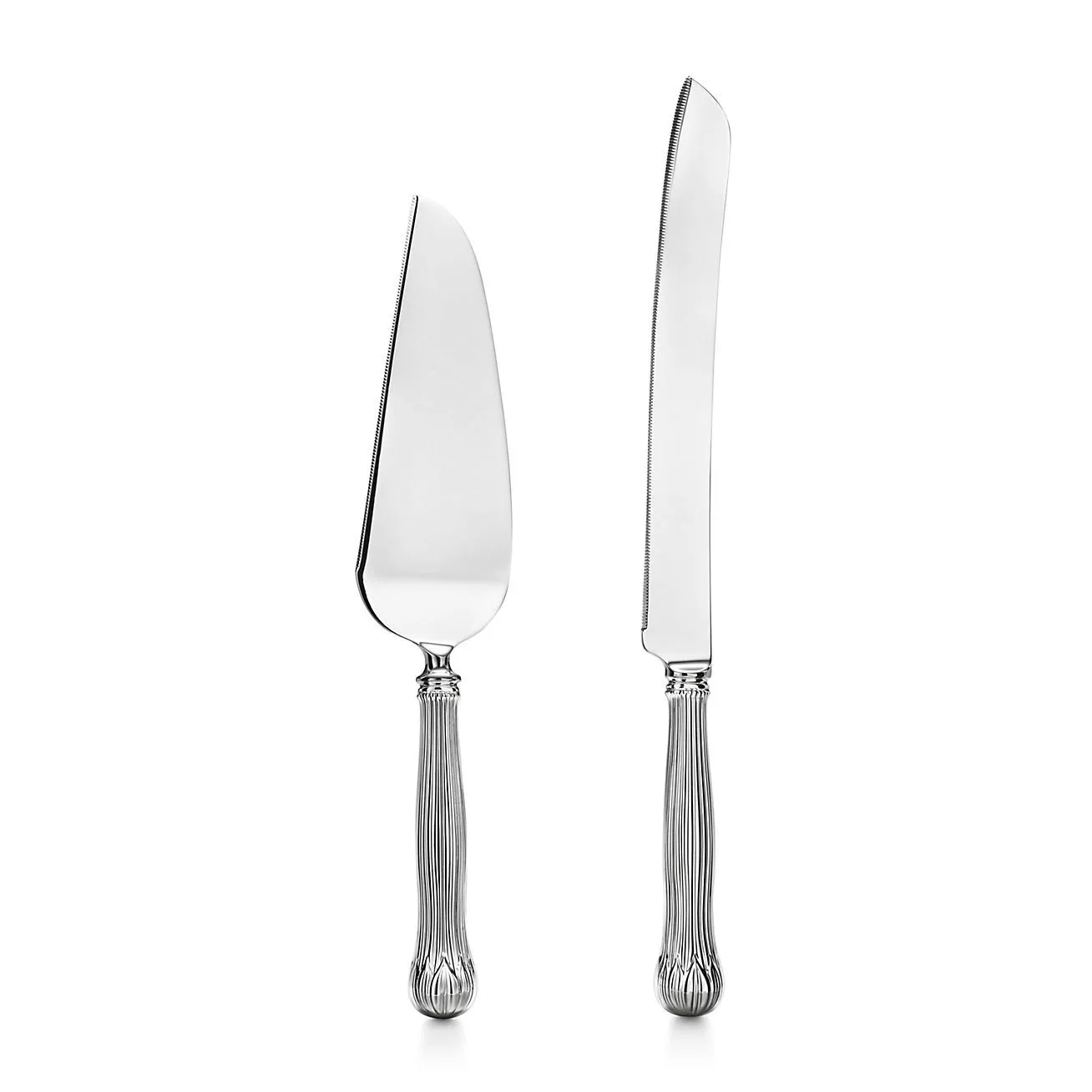Cake serving set - Silver