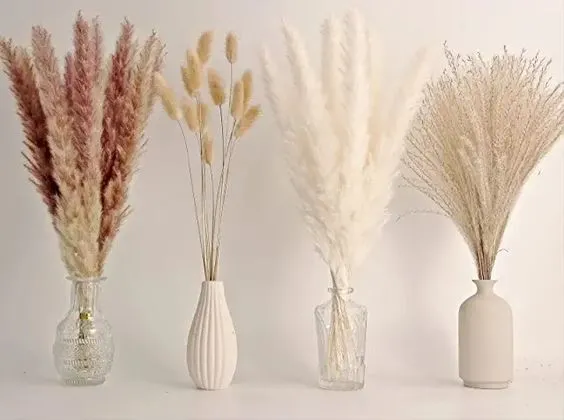Grasses - small