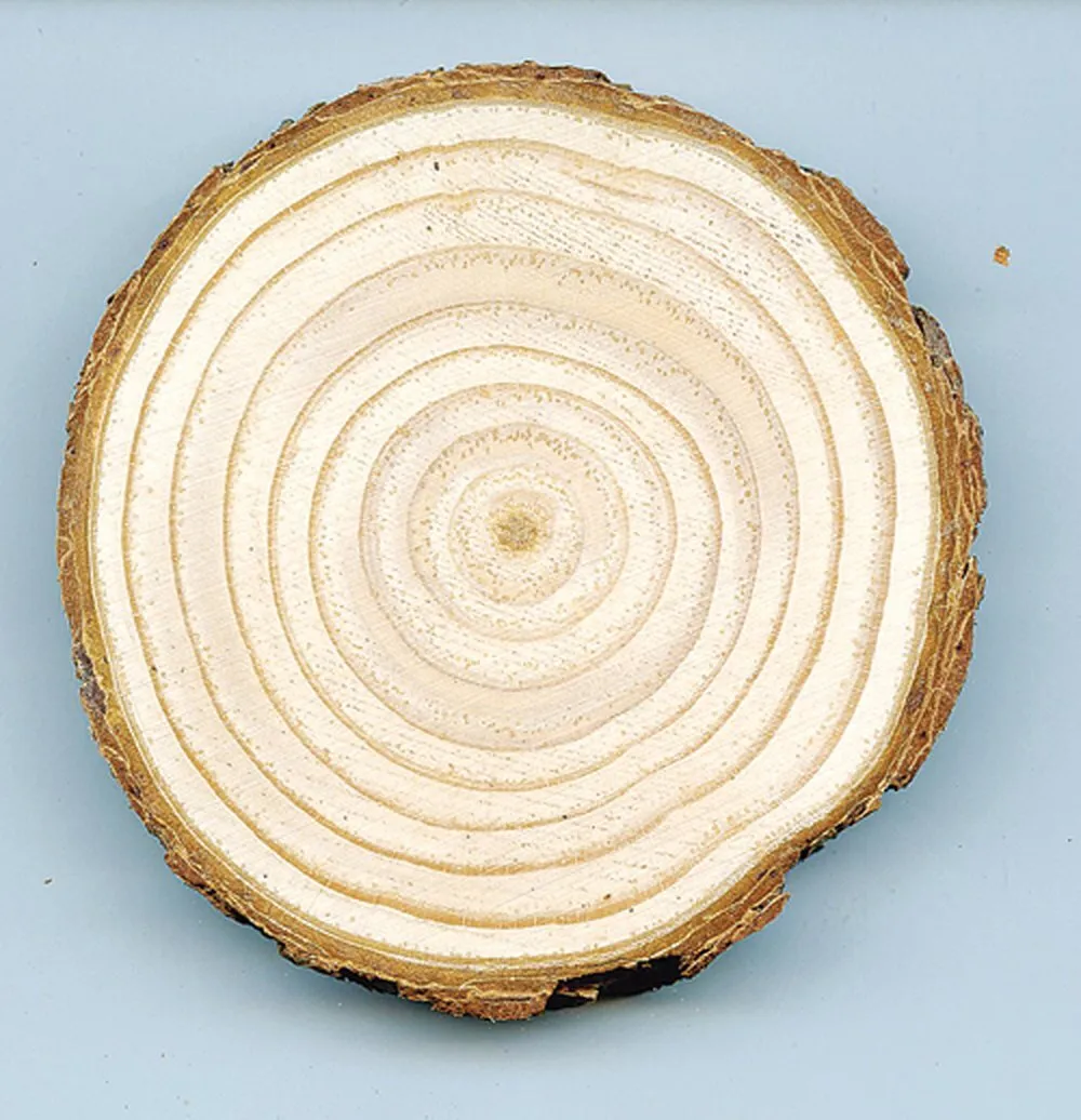 Wood cookie
