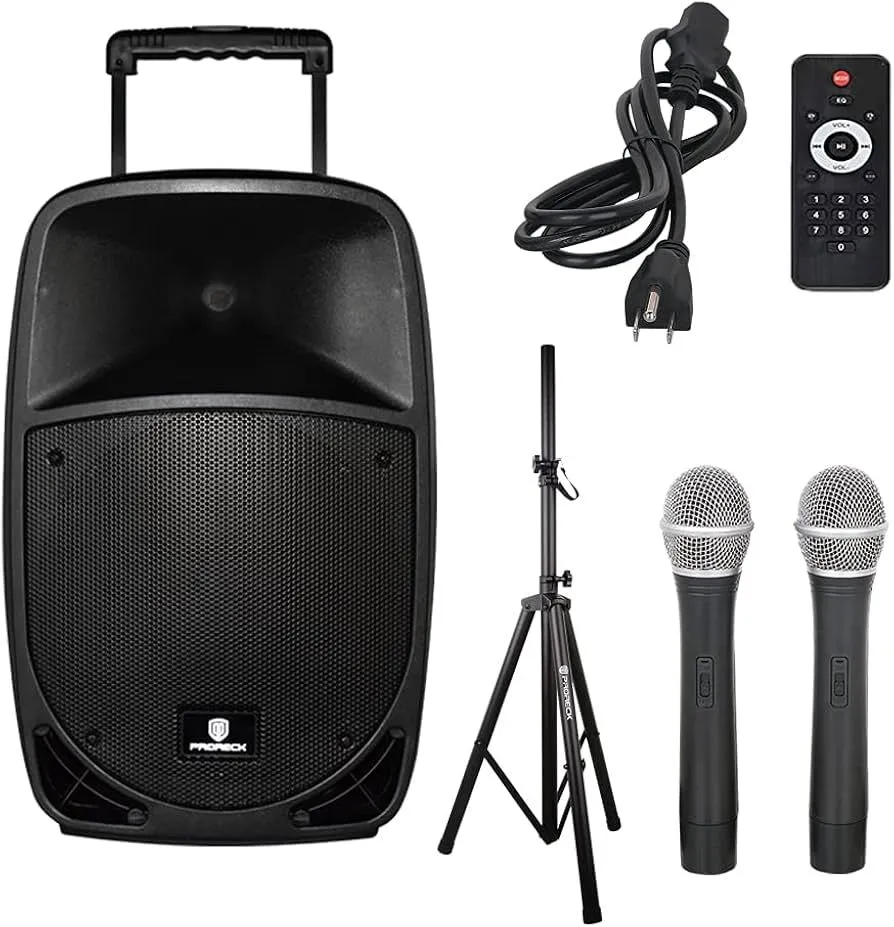 Portable Speaker system