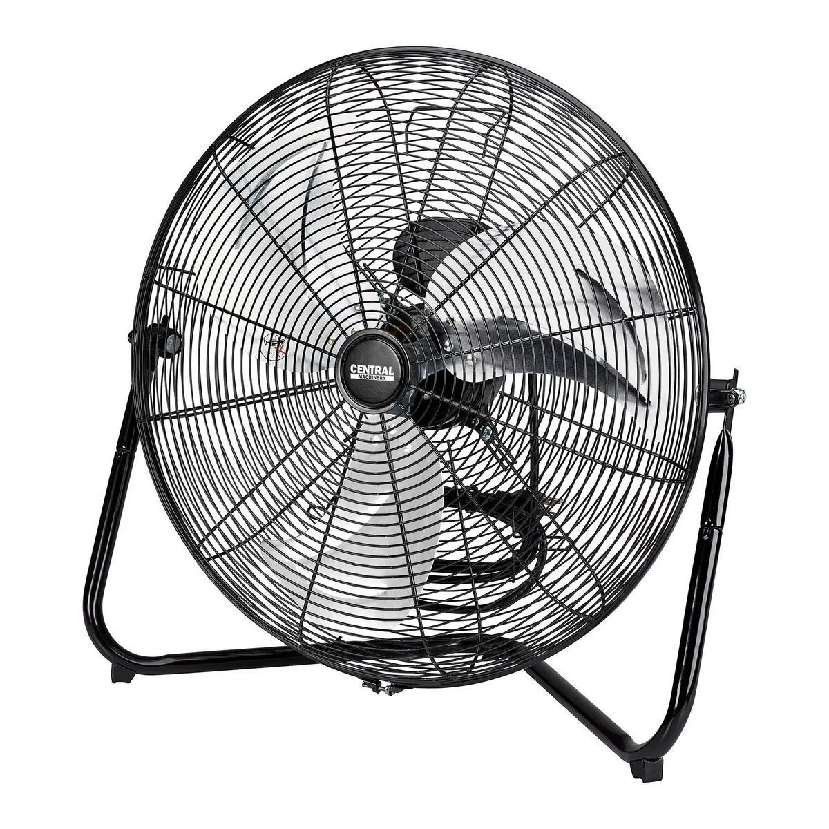 Fan