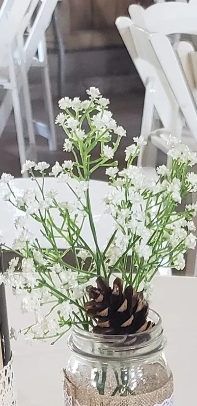 Baby Breath Bundle