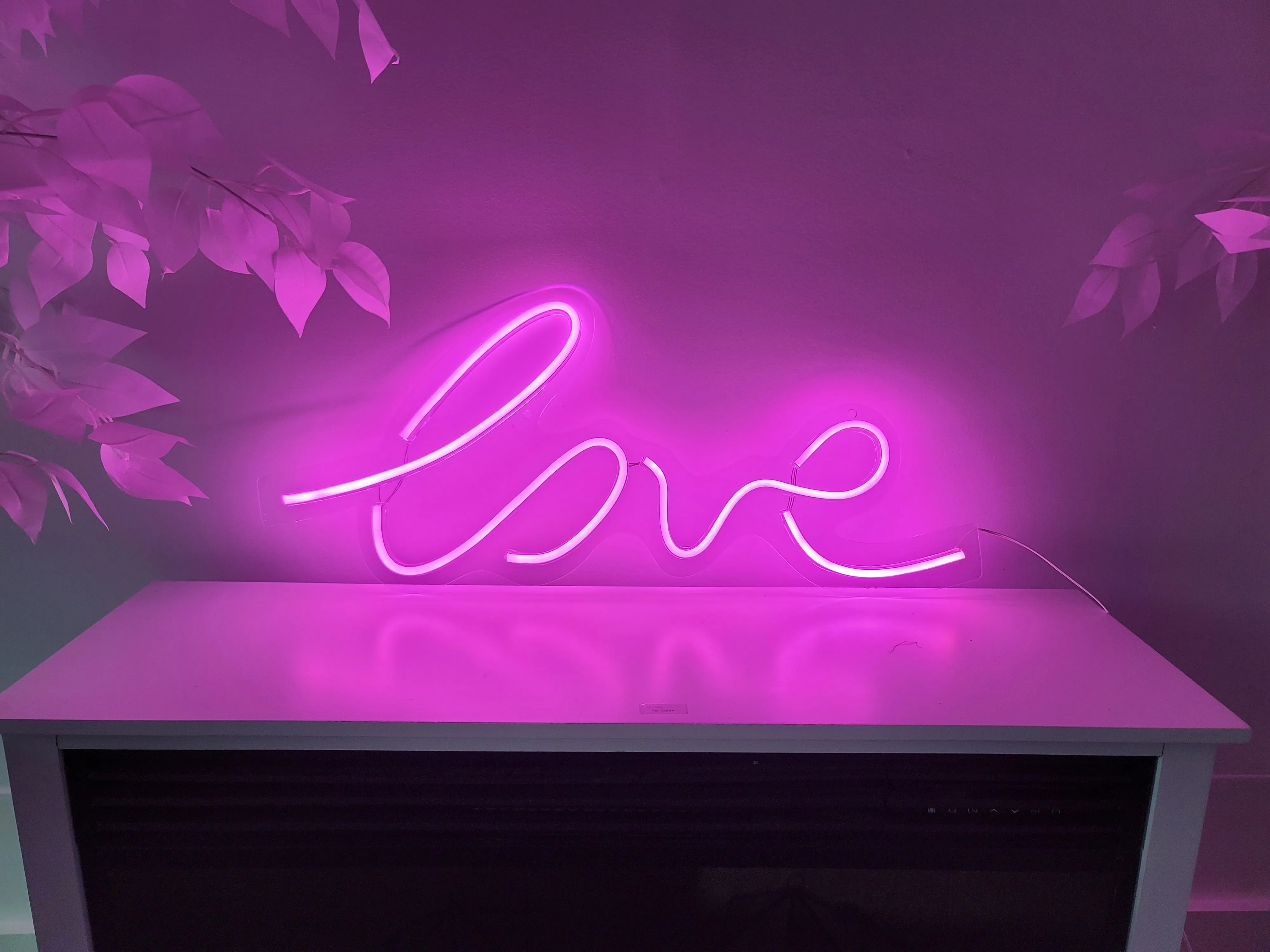 Neon "Love" Light