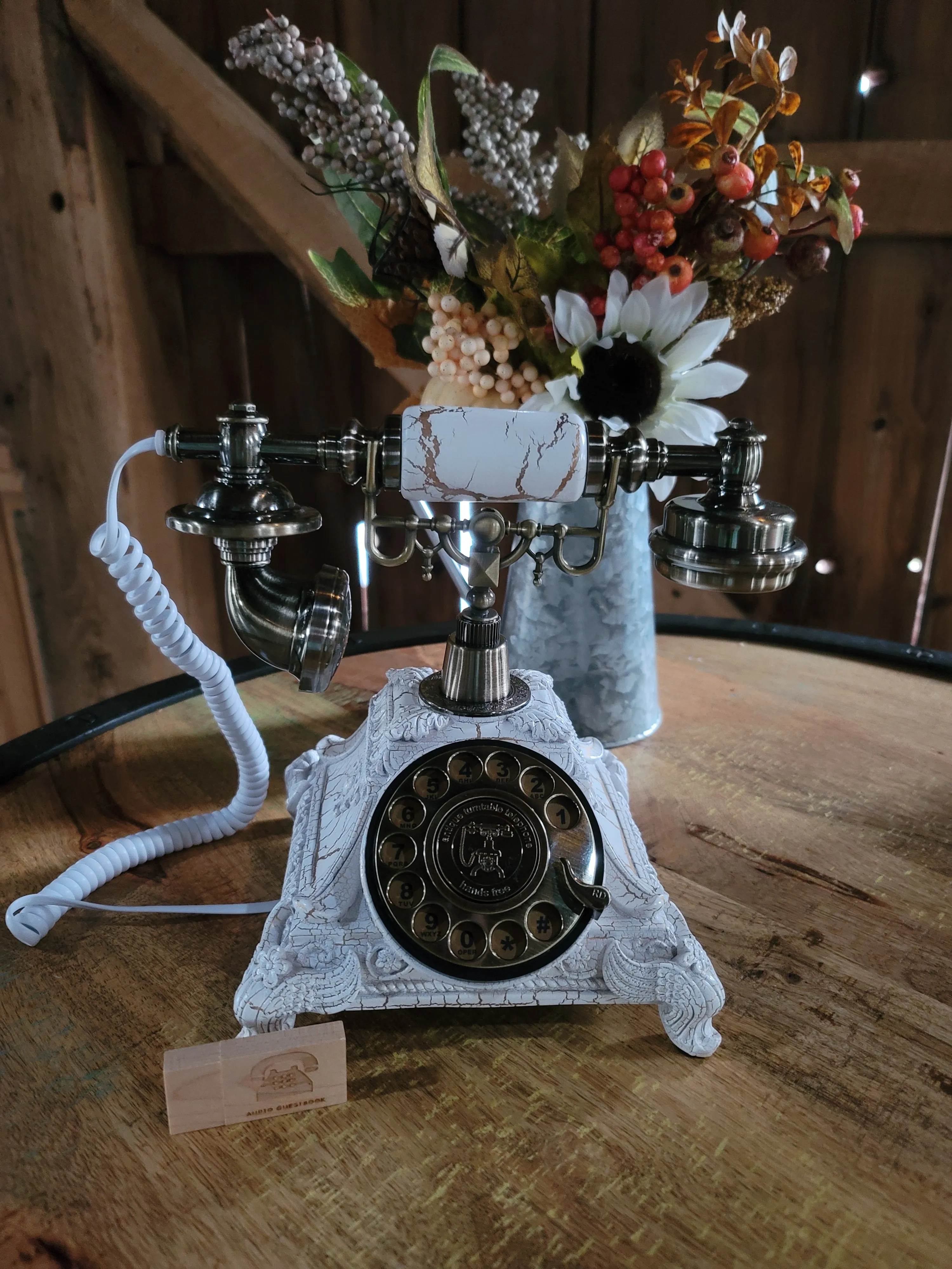 Guest Audio Phone