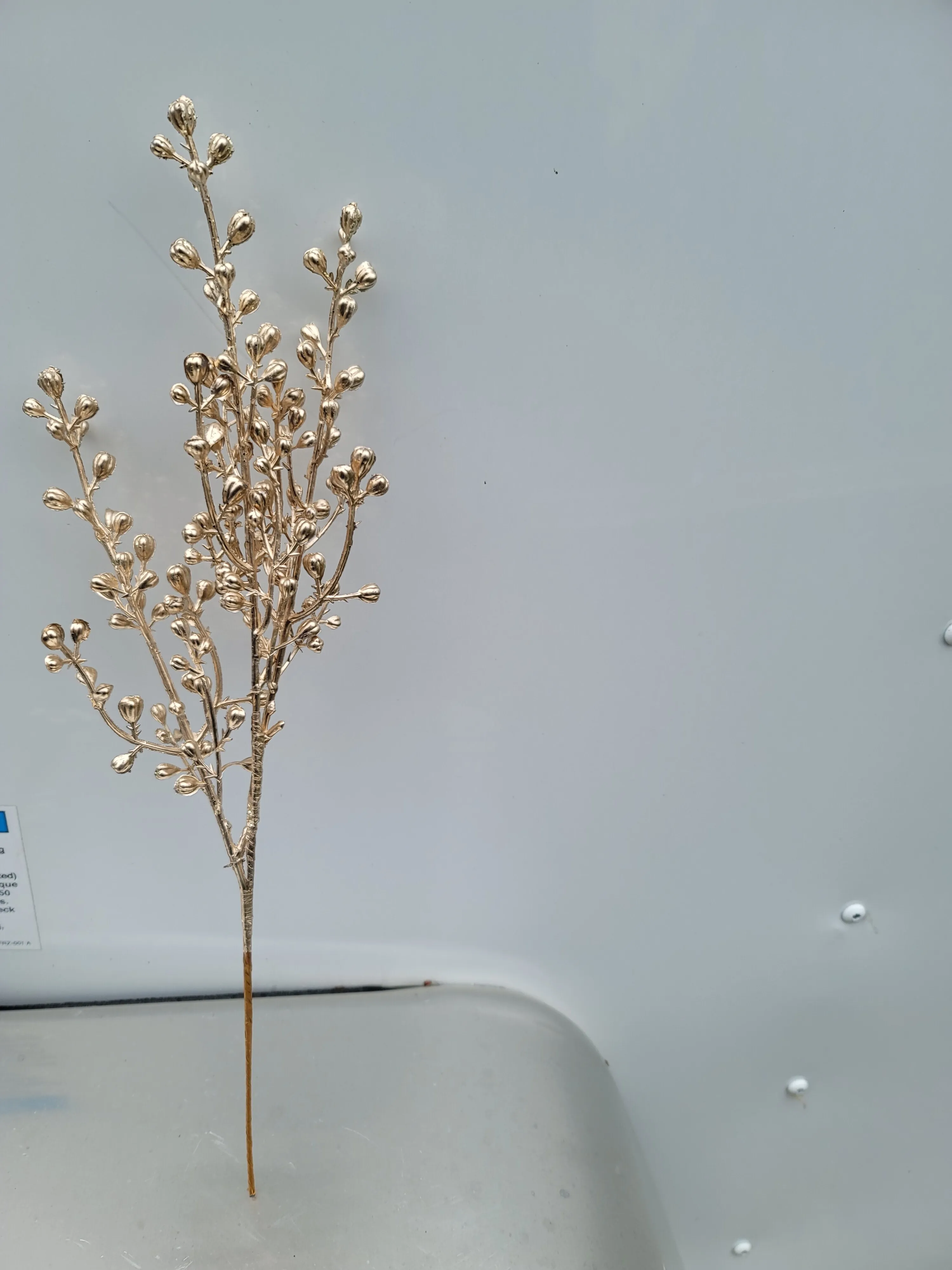Gold Stem