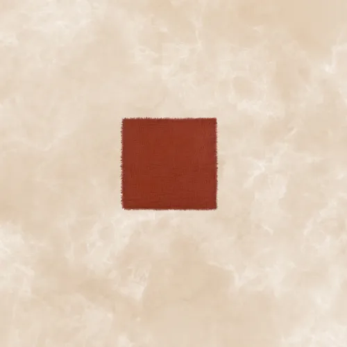 Cloth Napkins with Fringe 17" by 17" Terracotta