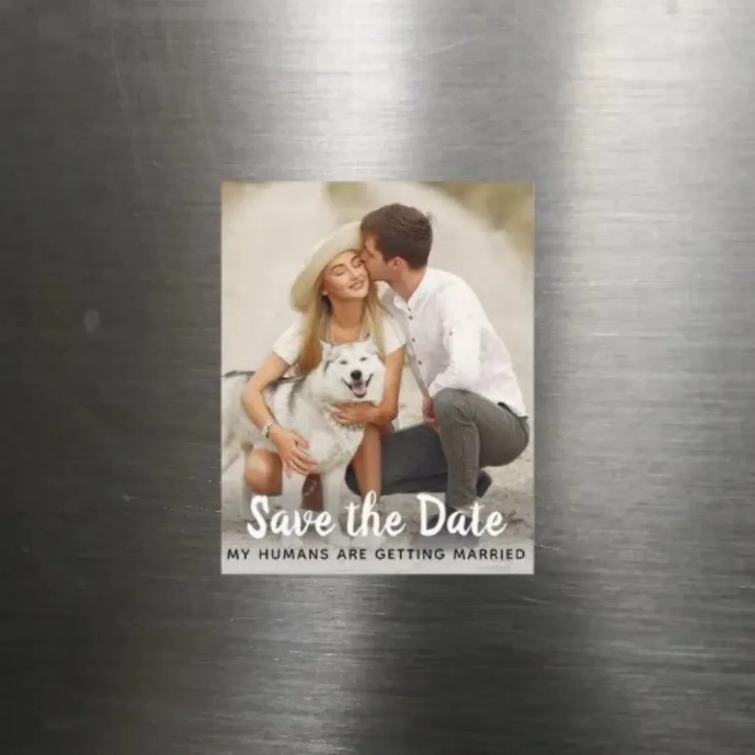 1 Image - Photo Strip Fridge Magnet