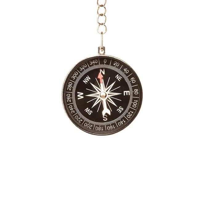 Small compass